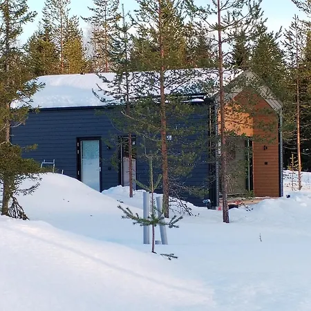 New In Iso-syoete. Luokki 2 * Syöte