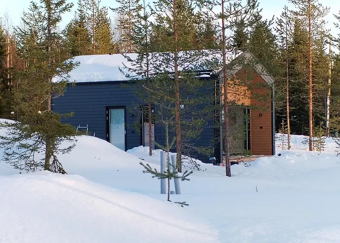 New In Iso-syoete. Luokki 2 * Syöte